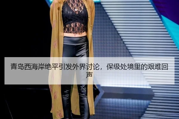 qing-dao-xi-hai-an-jue-ping-yin-fa-wai-jie-tao-lun-bao-ji-chu-jing-li-de-jian-nan-hui-sheng-2-355.jpg